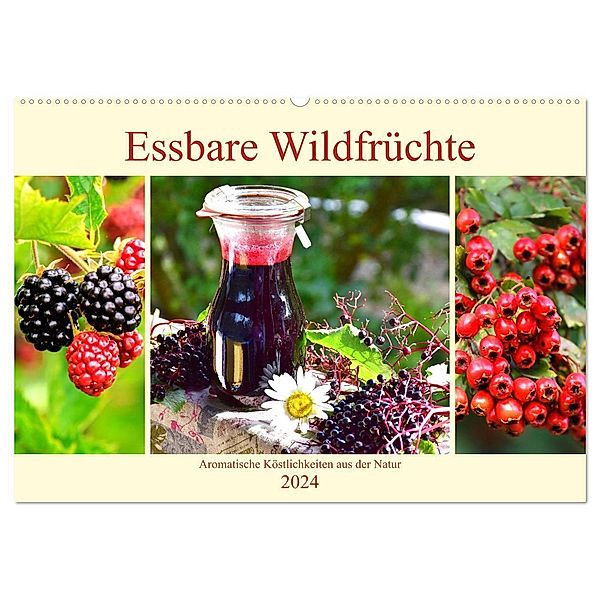 Essbare Wildfrüchte. Aromatische Köstlichkeiten aus der Natur (Wandkalender 2024 DIN A2 quer), CALVENDO Monatskalender, Rose Hurley