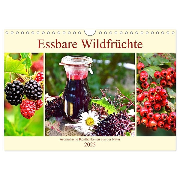 Essbare Wildfrüchte. Aromatische Köstlichkeiten aus der Natur (Wandkalender 2025 DIN A4 quer), CALVENDO Monatskalender, Calvendo, Rose Hurley