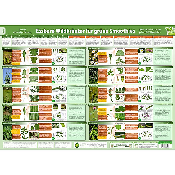 Essbare Wildkräuter für Grüne Smoothies Teil 1 - Wandposter (2024).Tl.1, Alfred Zenz, Samuel Cremer