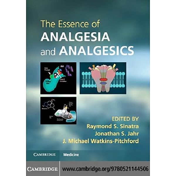 Essence of Analgesia and Analgesics