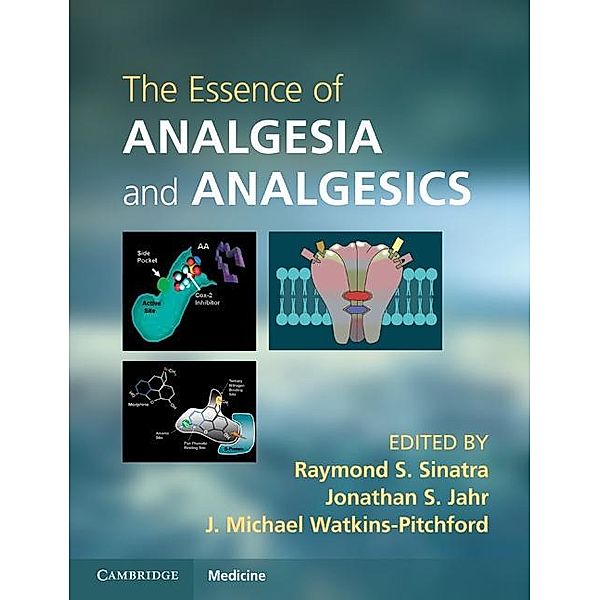 Essence of Analgesia and Analgesics