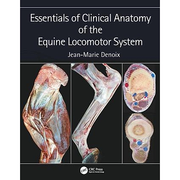 Essentials of Clinical Anatomy of the Equine Locomotor System, Jean-Marie Denoix
