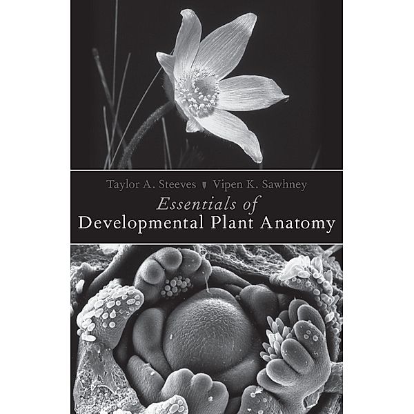 Essentials of Developmental Plant Anatomy, Taylor A. Steeves, Vipen K. Sawhney