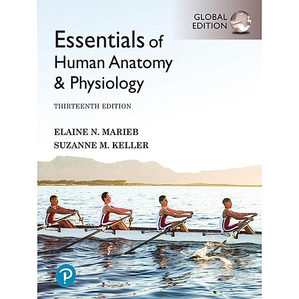 Essentials of Human Anatomy & Physiology, Global Edition, Elaine N. Marieb, Suzanne M. Keller