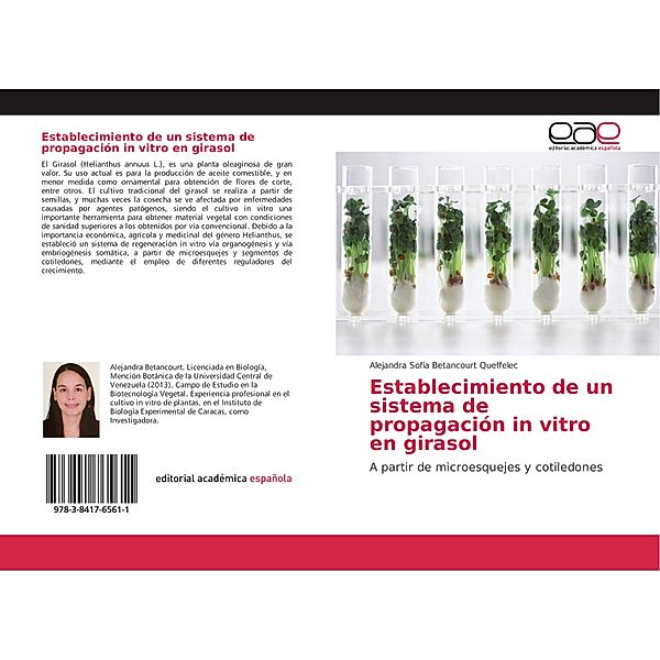 Establecimiento de un sistema de propagación in vitro en girasol, Alejandra Sofía Betancourt Queffelec