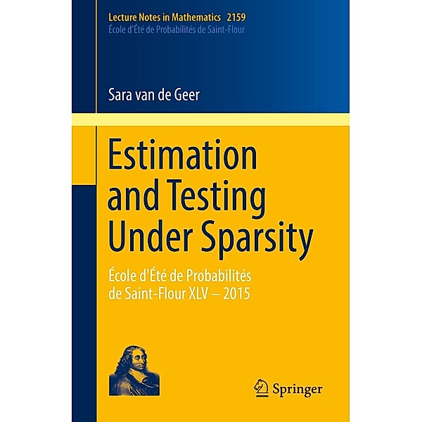 Estimation and Testing Under Sparsity / Lecture Notes in Mathematics Bd.2159, Sara van de Geer