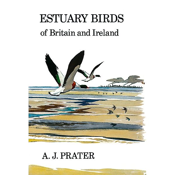 Estuary Birds of Britain and Ireland, A. J Prater