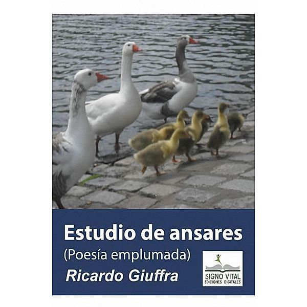 Estudio de Ansares, Ricardo Giuffra