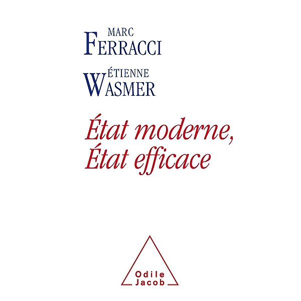 Etat moderne, Etat efficace, Wasmer Etienne Wasmer