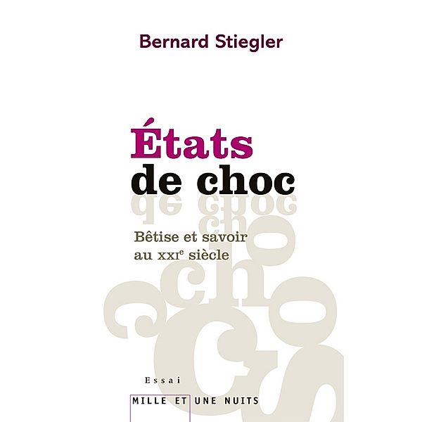 Etats de choc / Essais, Bernard Stiegler