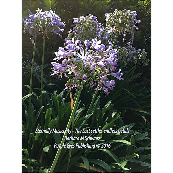 Eternally Musicality - The Last Settles Endless Petals, Barbara M Schwarz