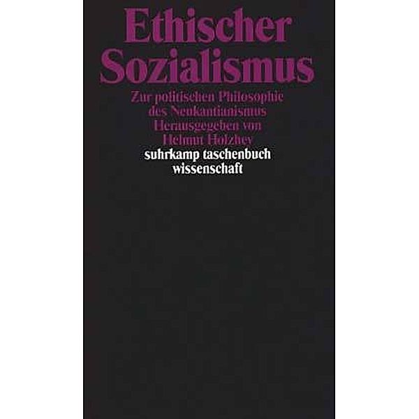 Ethischer Sozialismus, Helmut Holzhey