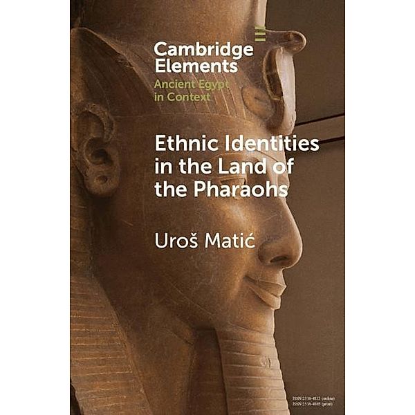 Ethnic Identities in the Land of the Pharaohs / Elements in Ancient Egypt in Context, Uros Matic