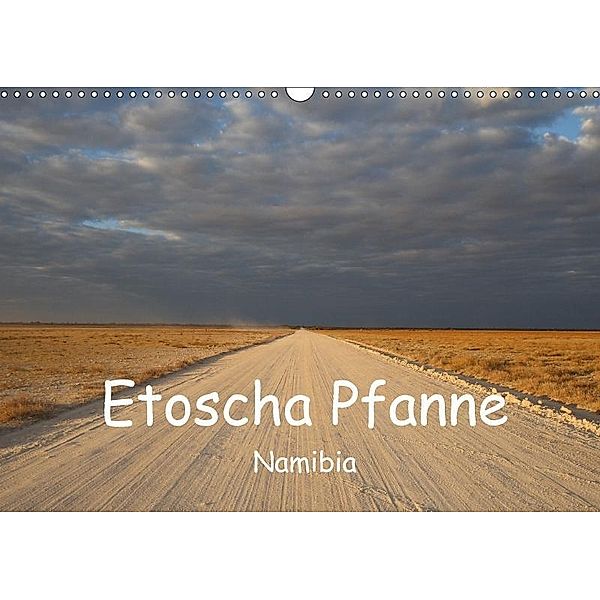 Etoscha Pfanne - Namibia (Wandkalender 2017 DIN A3 quer), Ralf Weise