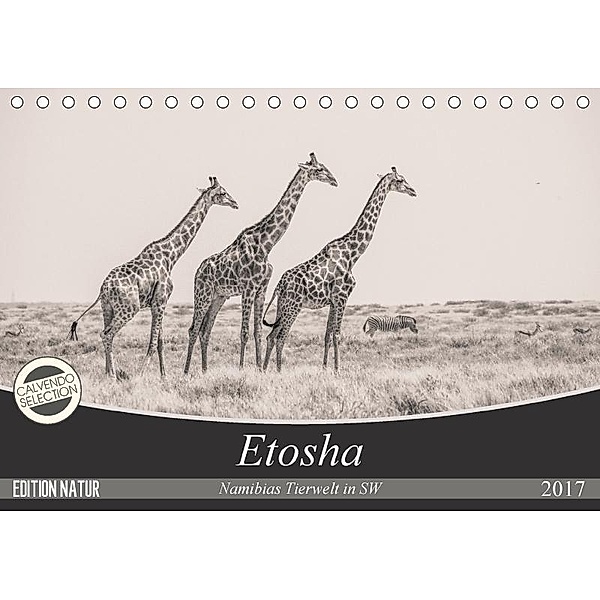 Etosha - Namibias Tierwelt in SW (Tischkalender 2017 DIN A5 quer), Arno Kohlem