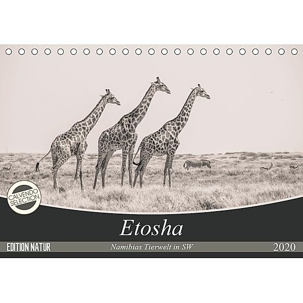 Etosha - Namibias Tierwelt in SW (Tischkalender 2020 DIN A5 quer), Arno Kohlem