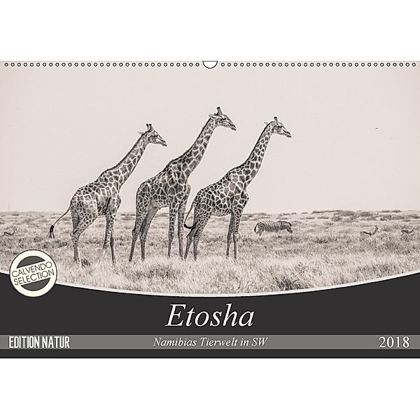 Etosha - Namibias Tierwelt in SW (Wandkalender 2018 DIN A2 quer) Dieser erfolgreiche Kalender wurde dieses Jahr mit glei, Arno Kohlem