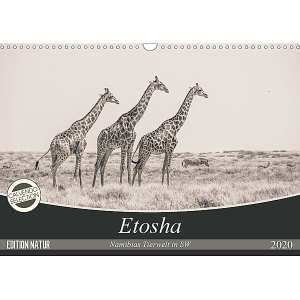 Etosha - Namibias Tierwelt in SW (Wandkalender 2020 DIN A3 quer), Arno Kohlem