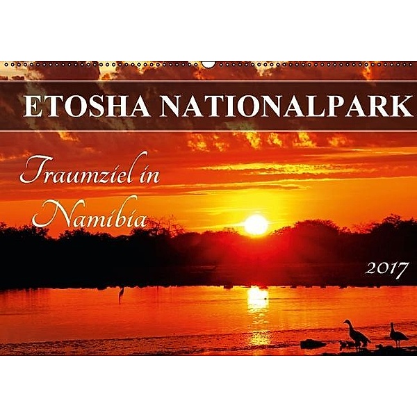 ETOSHA NATIONALPARK Traumziel in Namibia (Wandkalender 2017 DIN A2 quer), Wibke Woyke