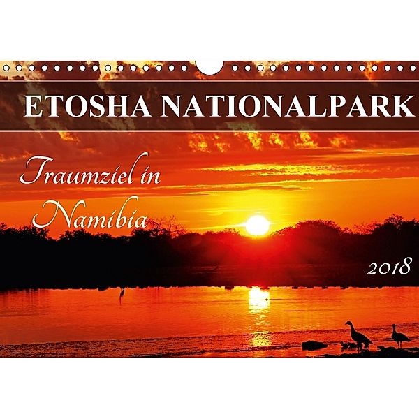 ETOSHA NATIONALPARK Traumziel in Namibia (Wandkalender 2018 DIN A4 quer), Wibke Woyke