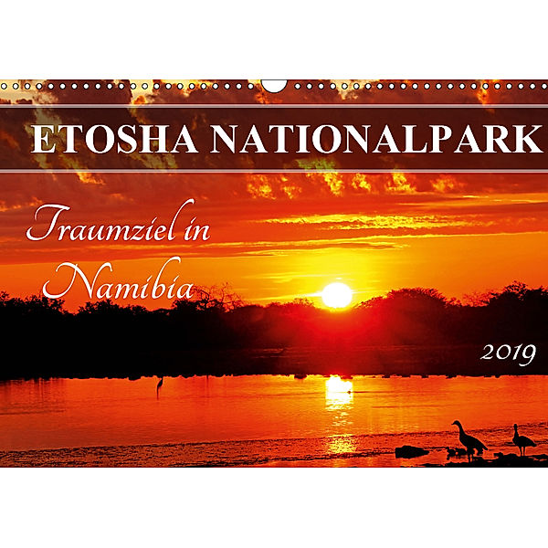 ETOSHA NATIONALPARK Traumziel in Namibia (Wandkalender 2019 DIN A3 quer), Wibke Woyke