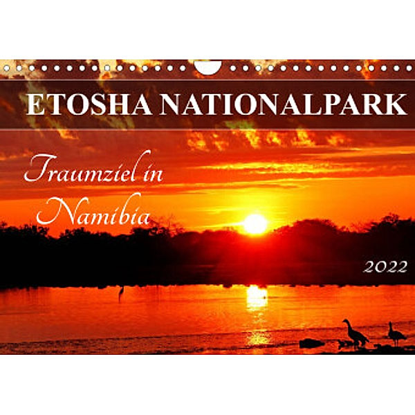 ETOSHA NATIONALPARK Traumziel in Namibia (Wandkalender 2022 DIN A4 quer), Wibke Woyke