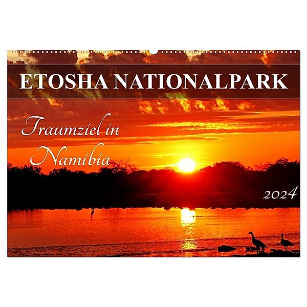 ETOSHA NATIONALPARK Traumziel in Namibia (Wandkalender 2024 DIN A2 quer), CALVENDO Monatskalender, Wibke Woyke