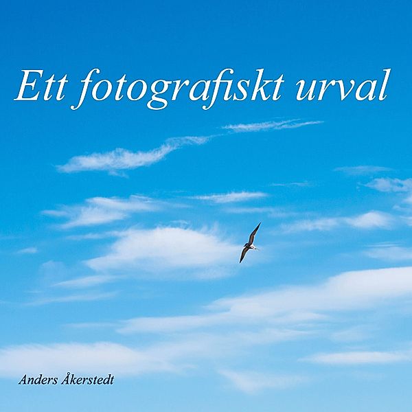 Ett fotografiskt urval / Ett fotografiskt urval Bd.1, Anders Åkerstedt