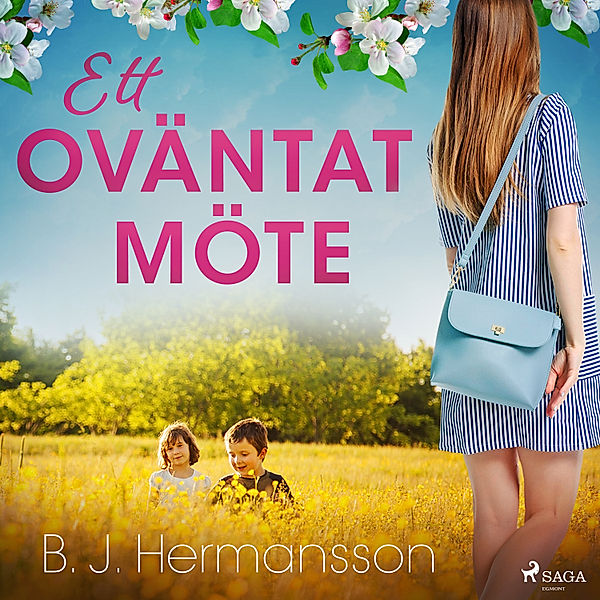 Ett oväntat möte, B. J. Hermansson