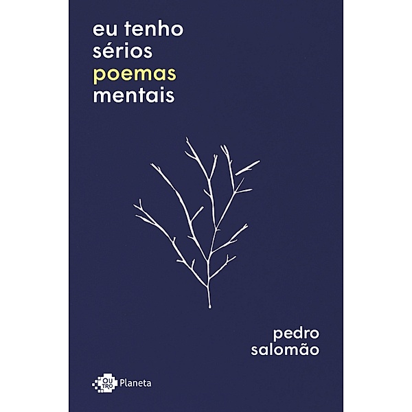 Eu tenho sérios poemas mentais, Pedro Salomão