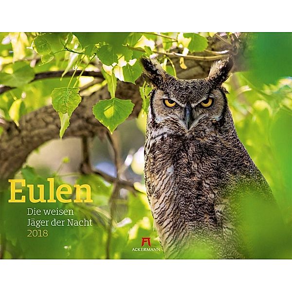 Eulen 2018