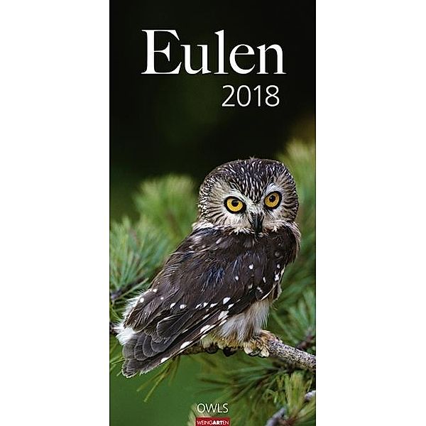 Eulen 2018