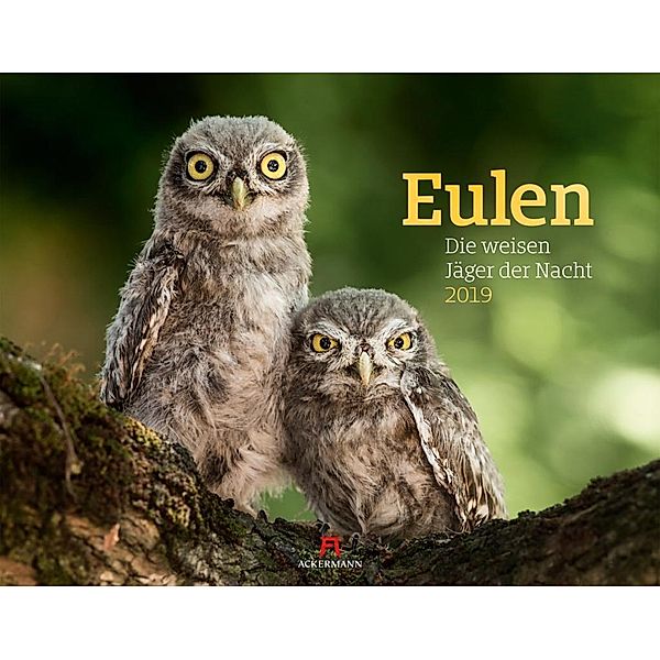 Eulen 2019