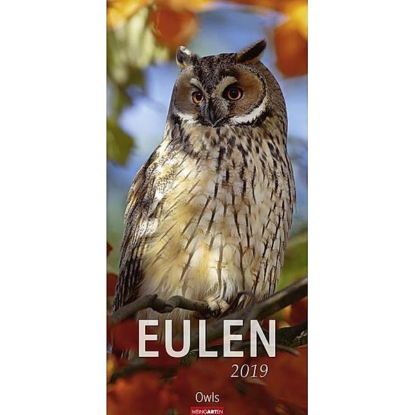 Eulen 2019