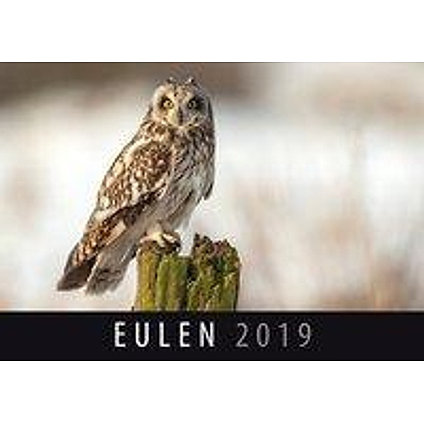 Eulen 2019