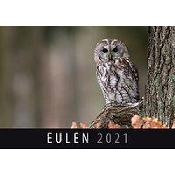 Eulen 2021