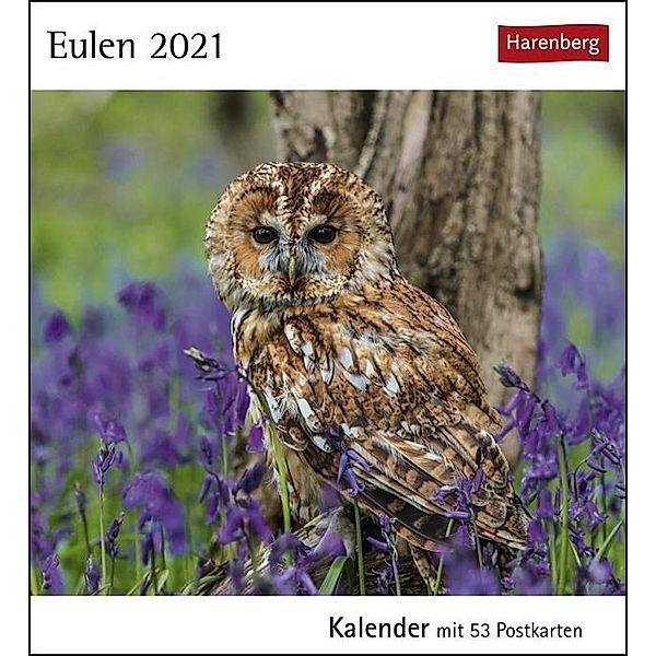 Eulen 2021