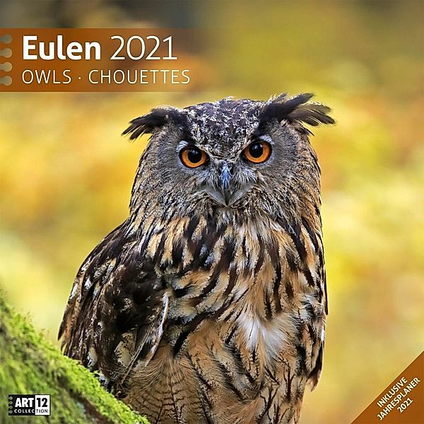 Eulen 2021