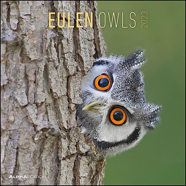 Eulen 2023 - Broschürenkalender 30x30 cm (30x60 geöffnet) - Kalender mit Platz für Notizen - Owls - Bildkalender - Wandp
