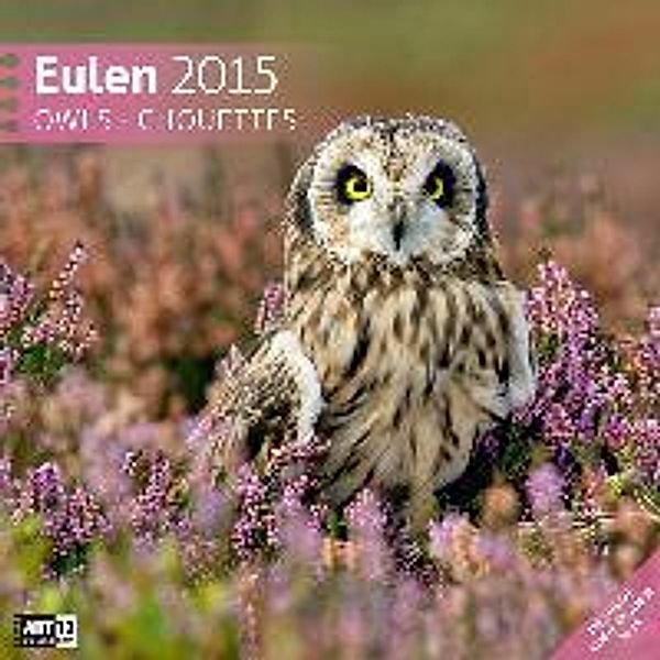 Eulen 30 x 30 cm 2015