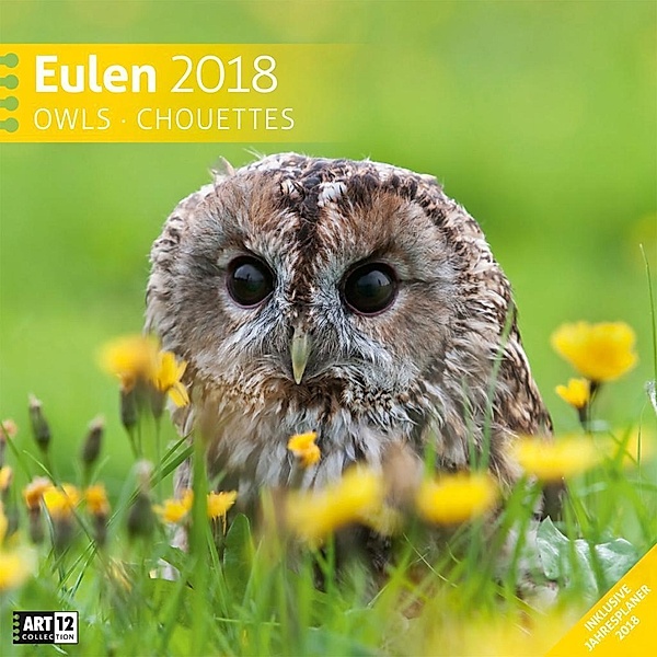 Eulen 30x30 2018