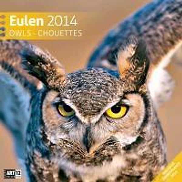 Eulen, Broschürenkalender 2014
