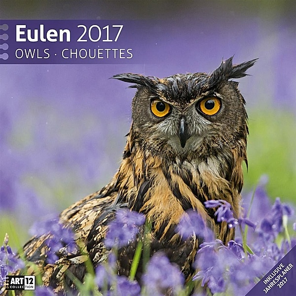 Eulen, Broschürenkalender 2017