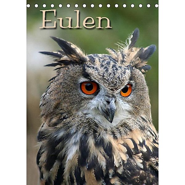 Eulen / CH-Version (Tischkalender 2023 DIN A5 hoch), Pferdografen.de / Martina Berg + Antje Lindert-Rottke