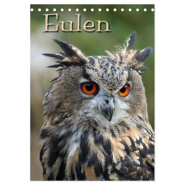 Eulen / CH-Version (Tischkalender 2024 DIN A5 hoch), CALVENDO Monatskalender, Pferdografen.de / Martina Berg + Antje Lindert-Rottke