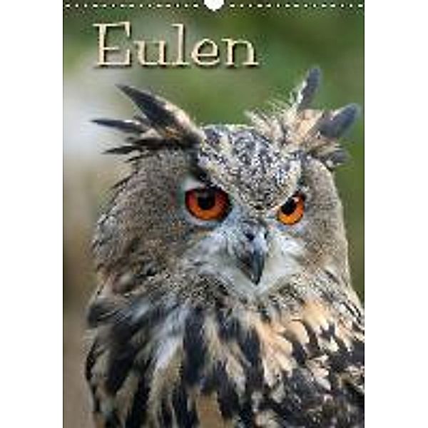 Eulen / CH-Version (Wandkalender 2015 DIN A3 hoch), Martina Berg, Antje Lindert-Rottke