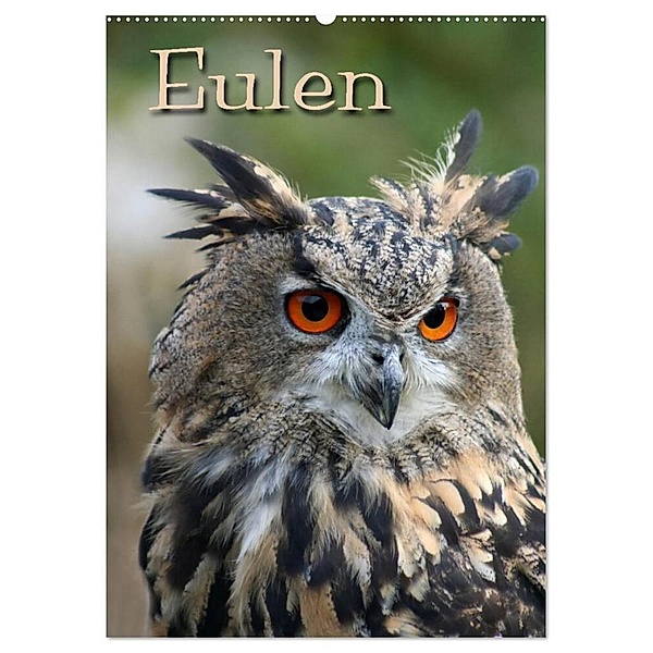 Eulen / CH-Version (Wandkalender 2024 DIN A2 hoch), CALVENDO Monatskalender, Pferdografen.de / Martina Berg + Antje Lindert-Rottke