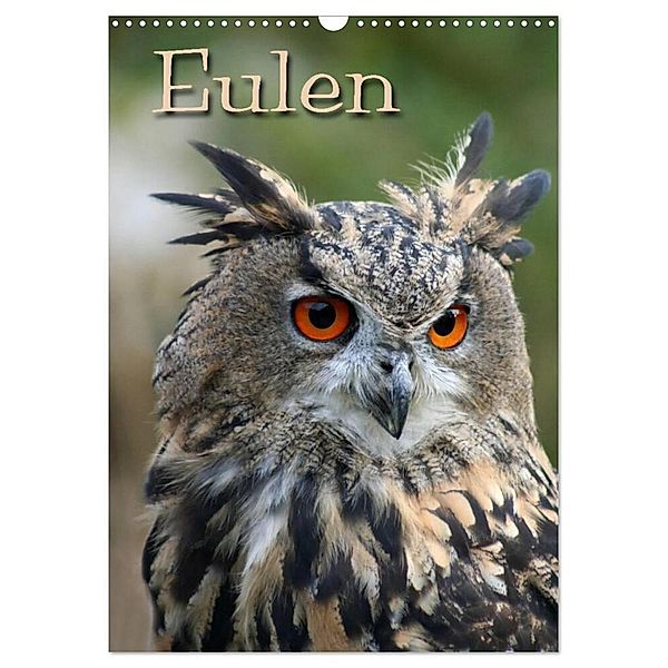Eulen / CH-Version (Wandkalender 2024 DIN A3 hoch), CALVENDO Monatskalender, Pferdografen.de / Martina Berg + Antje Lindert-Rottke