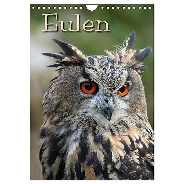 Eulen / CH-Version (Wandkalender 2024 DIN A4 hoch), CALVENDO Monatskalender, Pferdografen.de / Martina Berg + Antje Lindert-Rottke
