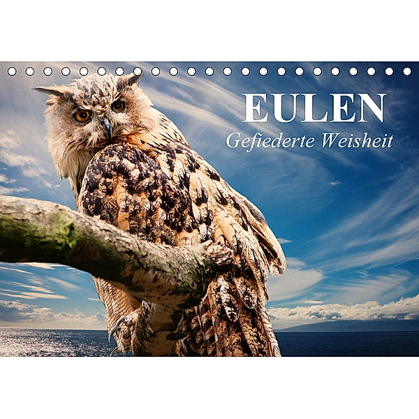 Eulen. Gefiederte Weisheit (Tischkalender 2019 DIN A5 quer), Elisabeth Stanzer